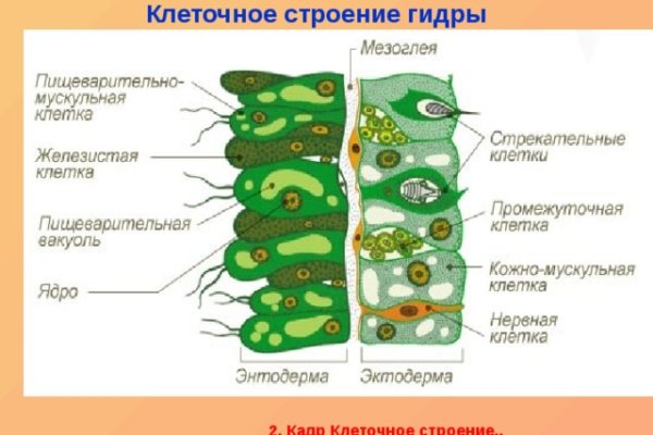 Не входит в кракен пользователь не найден