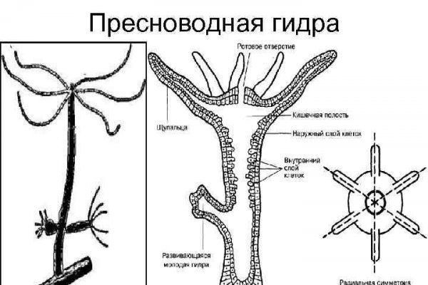 Рабочее зеркало на кракен