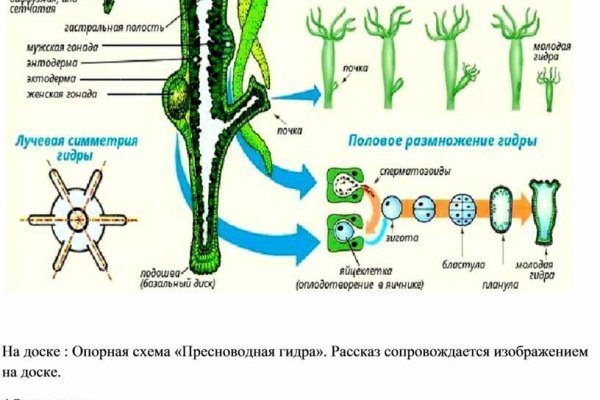 Кракен закладки